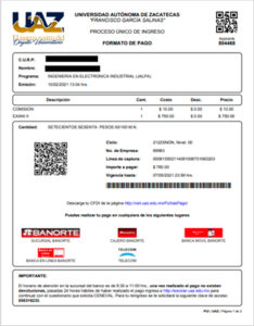 Ficha de pago
